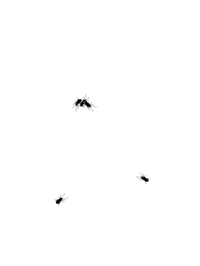 225_300gif 动态图 动图