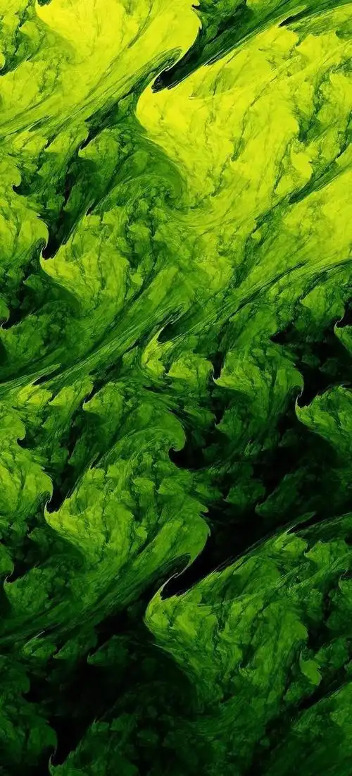 《幸运草》绿色护眼手机壁纸_网易订阅