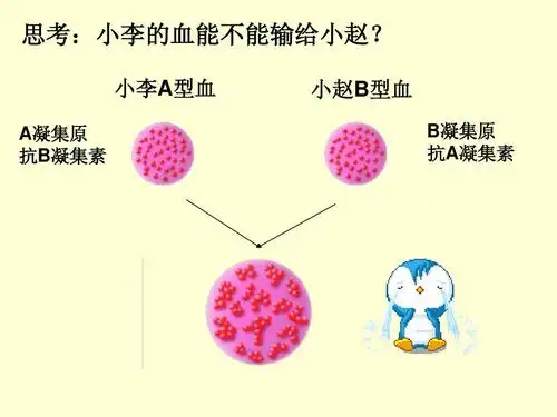 小李a型血 a凝集原 抗b凝集素 第9页 (共17页,当前第9页) 你可能喜欢
