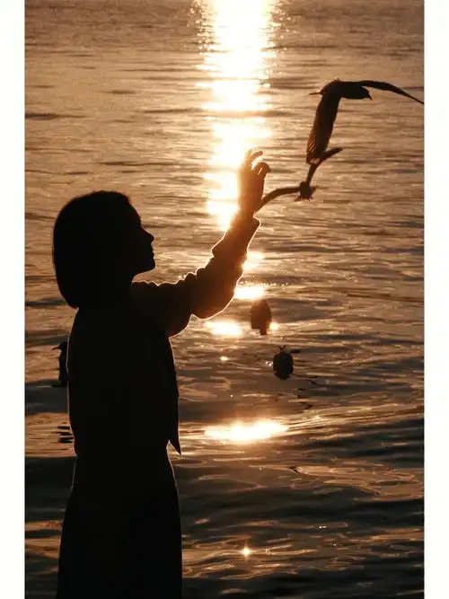 这个冬天你会来大理看日出吗和海鸥一起