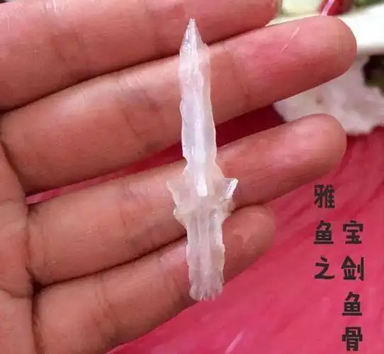 雅鱼:清代"贡品"头似宝剑身体无鳞