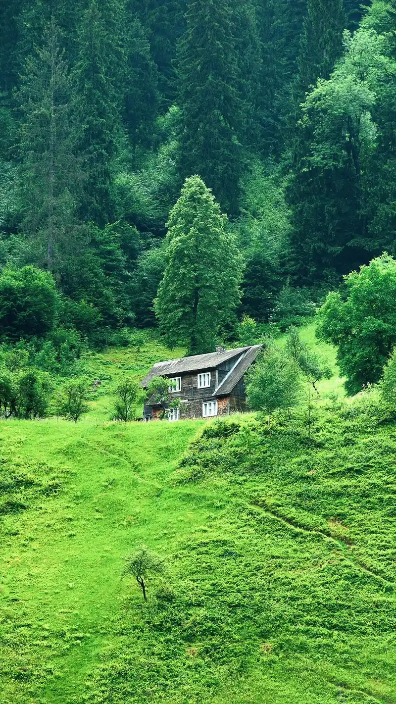 治愈系风景 #高清壁纸 #护眼绿色壁纸  - 抖音