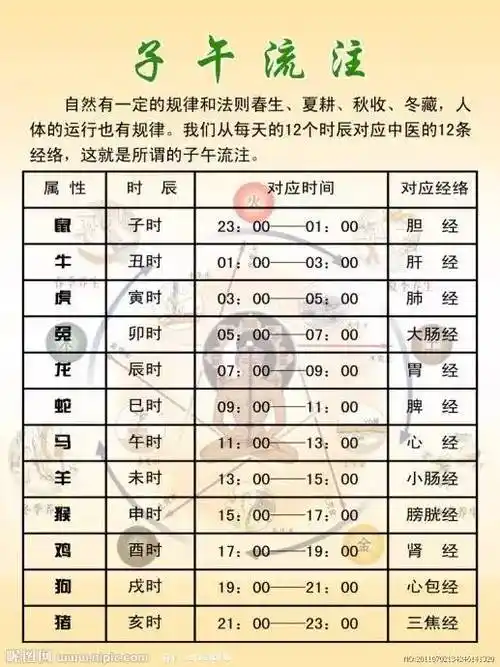 中医十二时辰对应脏腑图