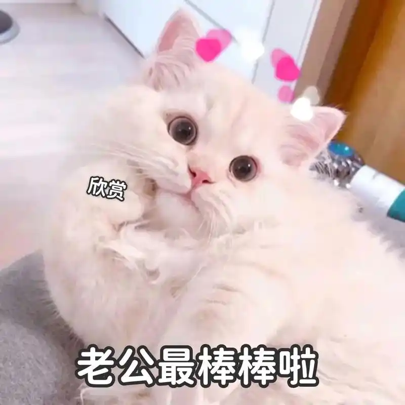 拿去哄老公吧,哄开心了要给老婆买好吃的哦.#表情包 #聊天表 - 抖音