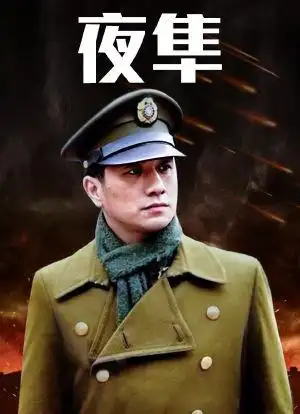 夜隼海报封面图