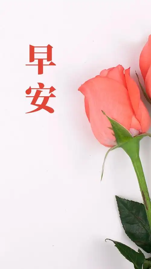 早安励志文案适合早上发朋友圈的励志句子