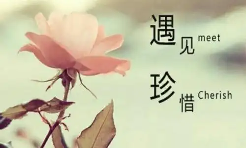 爱在身边要懂得珍惜