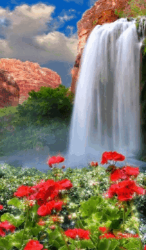 211_360gif 动态图 动图