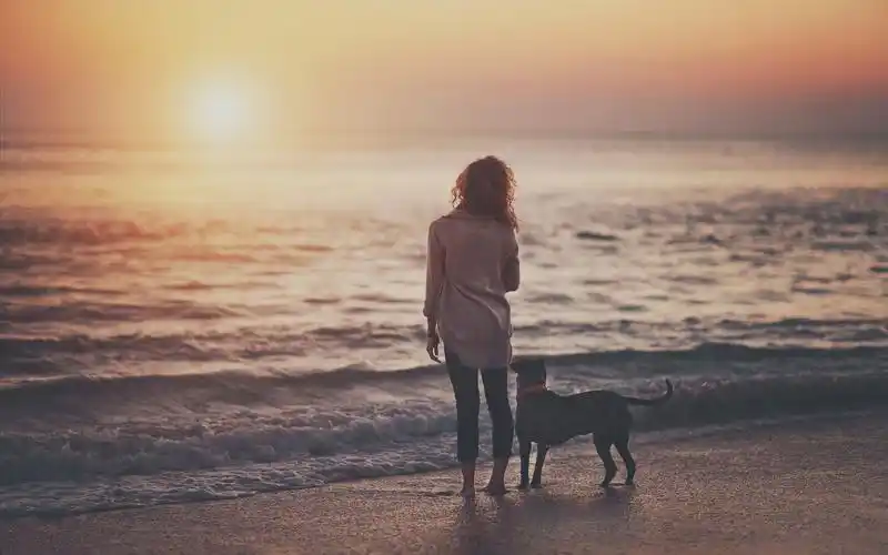 关于江南水乡的文章