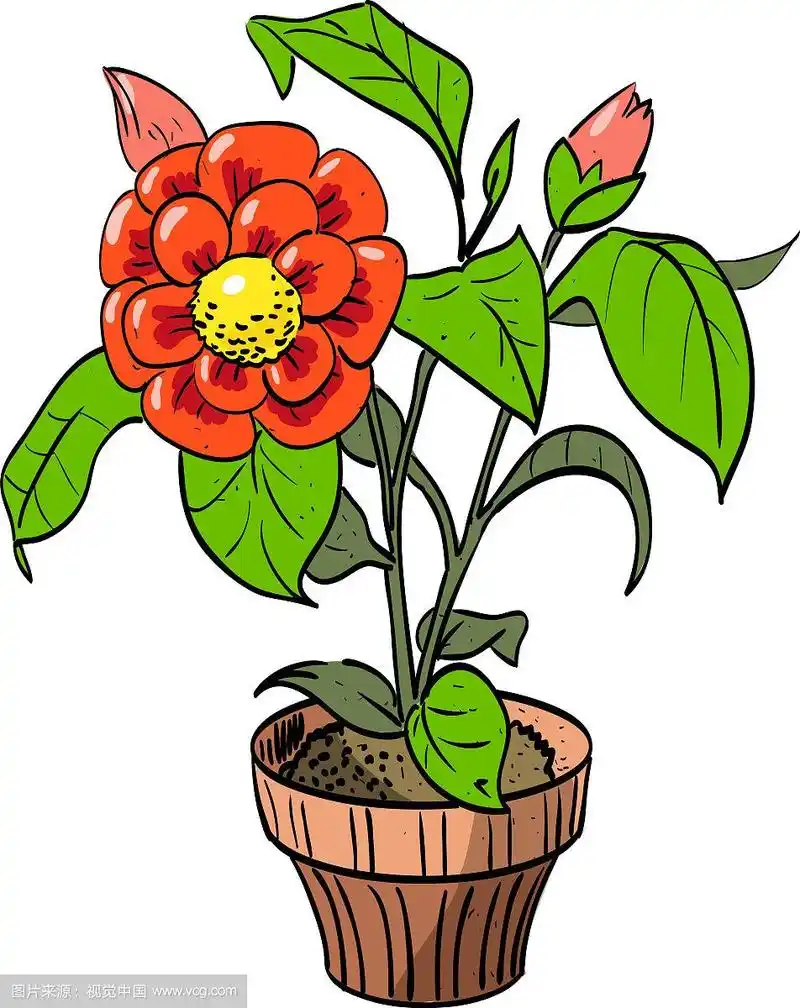 卡通形象的室内植物