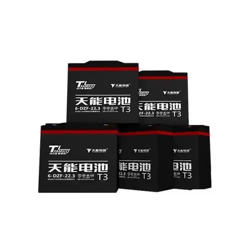 天能真黑金t3电池电动车电瓶石墨烯电池6dzf223天能真黑金48v354块