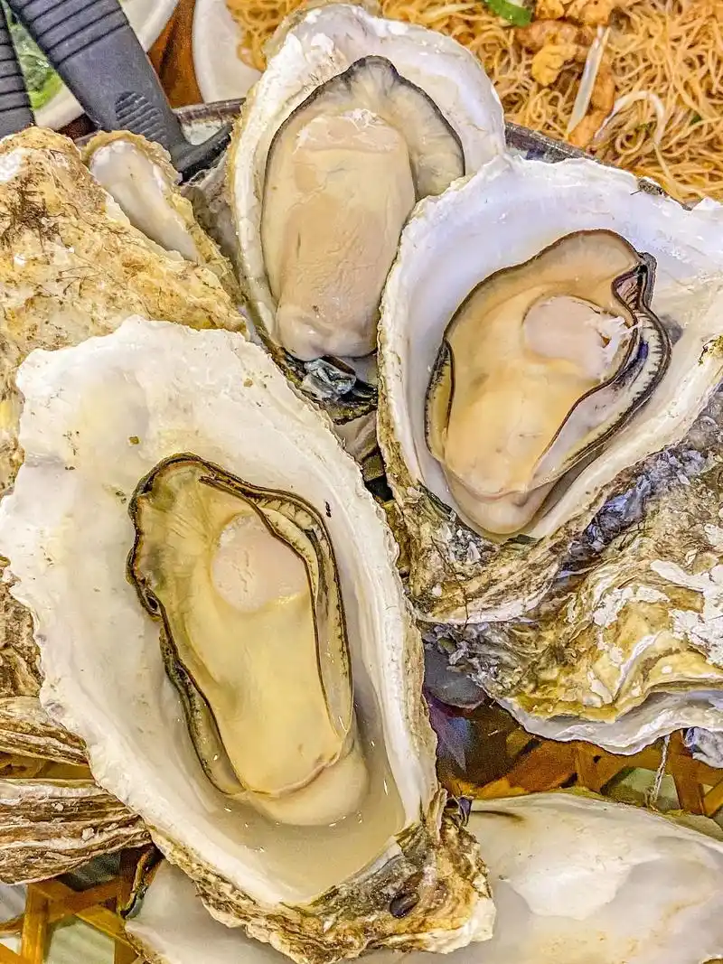 心目中吃生蚝04top11566的店6015.