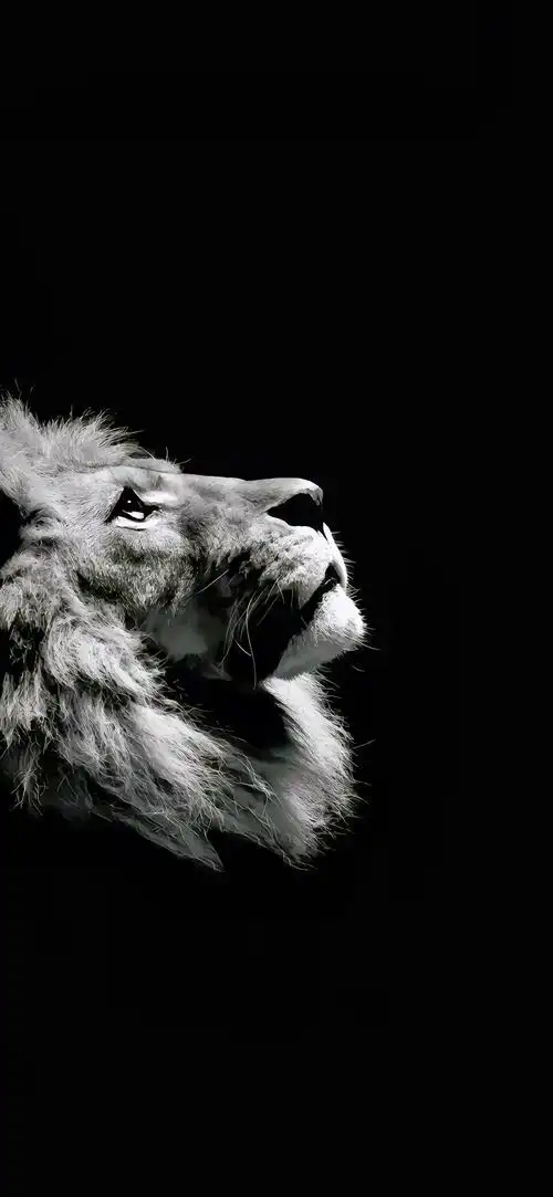 这么高级的壁纸错过了真的很可惜!#高清60帧 #手机锁屏 # - 抖音