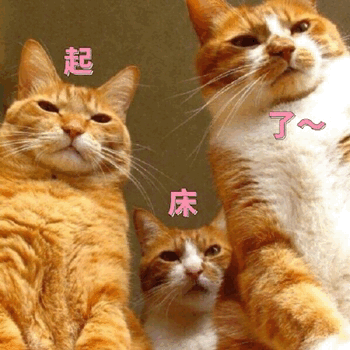 阿弟牛逼吹得稳死印尼小胖tatan动态表情包阿弟稳死tatan小胖表情