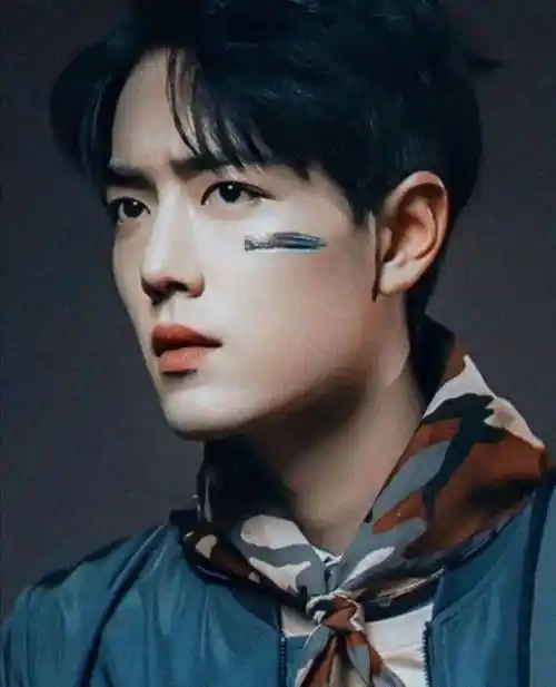 原创原创无所不用其极知名作家怒批肖战黑粉支持正能量