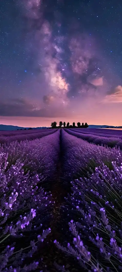 壁纸 桌面 1080_2395 竖版 竖屏 手机