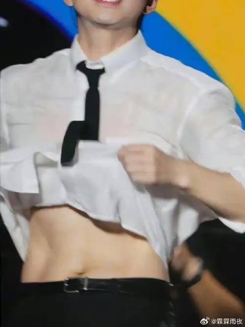 领带扯开了,衣服湿透了,腹肌看完了了,香汗淋漓了……上场时是扛着爱