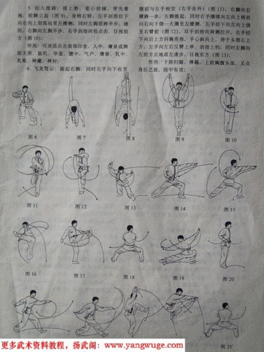 飞龙阴阳指图解符永江pdf8页