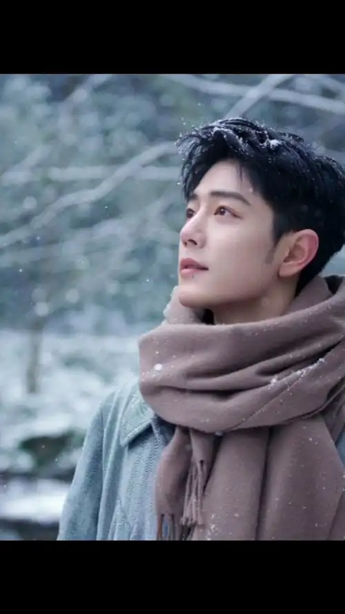 肖战雪景图还有新照片呢
