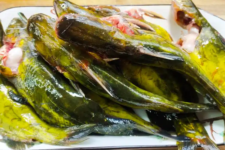 教你红烧黄骨鱼的做法,鱼肉嫩滑,好吃入味,比饭店大厨做的好吃