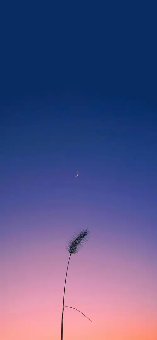 唯美晚霞摄影高清手机壁纸