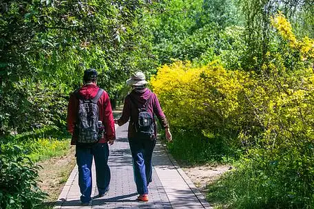 老年人人物背影行走休闲重阳节