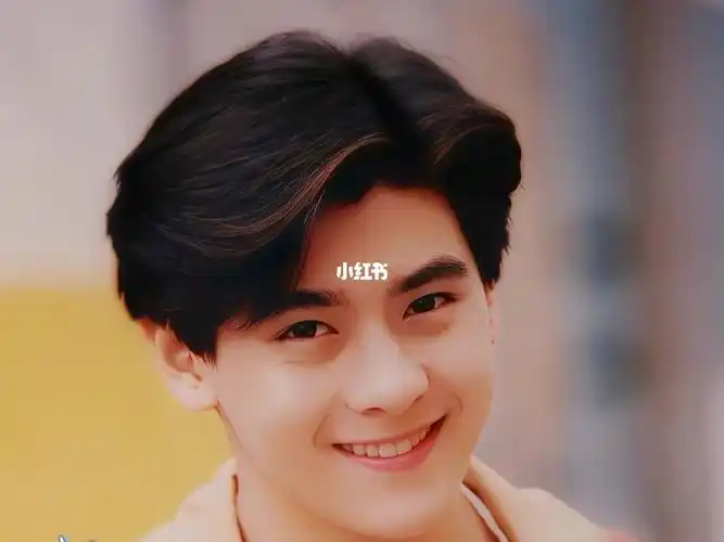 林志颖初代顶流甜爱豆青春组曲