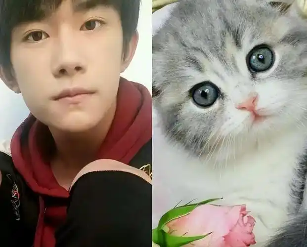 8位像动物的明星王一博肖战还能忍看到易烊千玺简直是神似