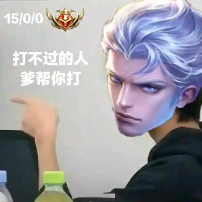 王者荣耀野王表情包一览