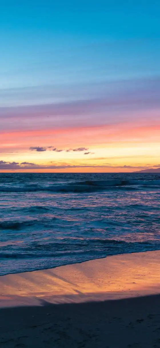 590_1280竖版 竖屏