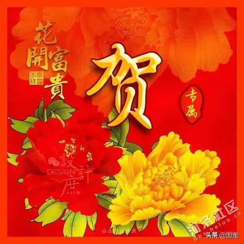 姓氏头像牡丹花开富贵满堂