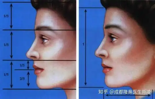 专业面部美学分析正面侧面