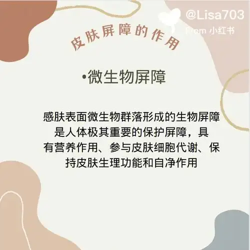 皮肤屏障保护好皮肤才能闪亮亮