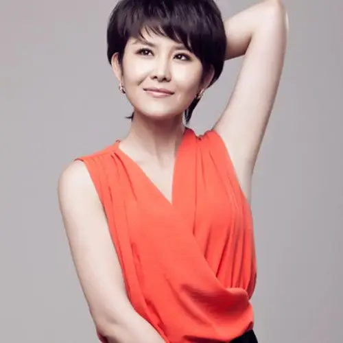 图央视女主播王宁多少岁带来新闻评论新风尚