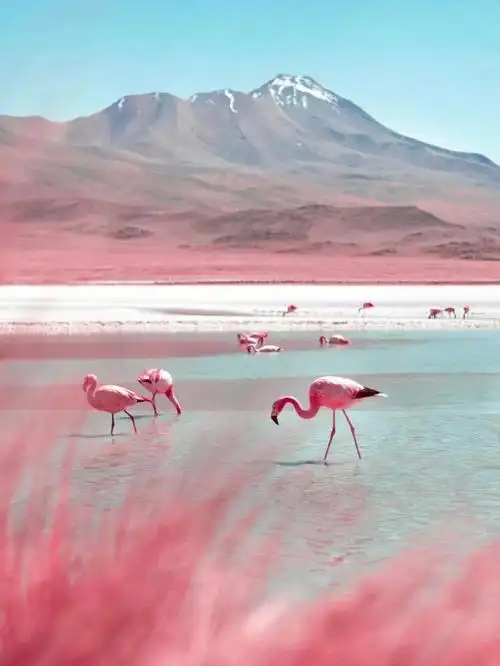 被小红书骗来看梦里的粉红沙滩92红沙滩