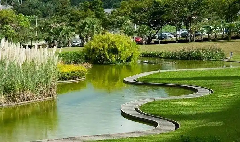 浅浅水,长悠悠——不可错过的校园景观水体设计