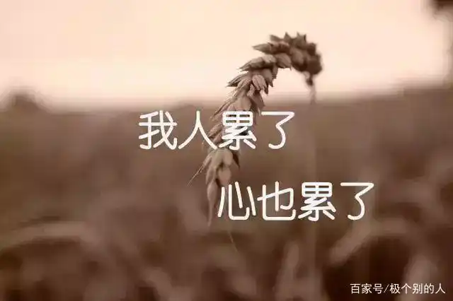 我人累了,心也累了,对你也没盼望了