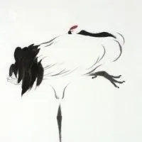 仙鹤头像_中国风唯美仙鹤彩铅头像【点击鼠标右键下载】