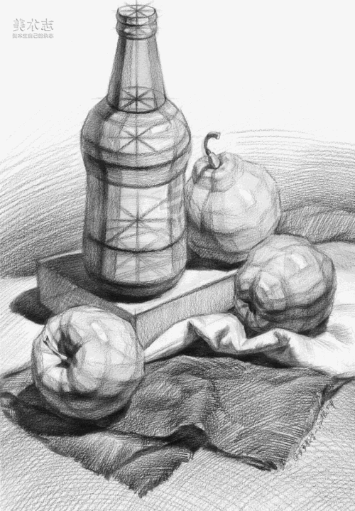【入门结构素描】画素描静物之前的必学课程!你还在等什么?