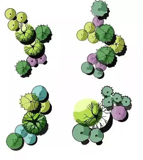 景观设计考研快题手绘/平面图手绘/植物配置组合形式