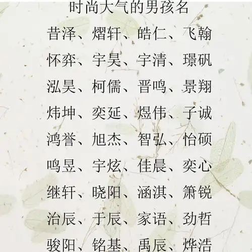 属猪的方姓男孩怎么取名好听又好记? 好听的男孩名字属猪