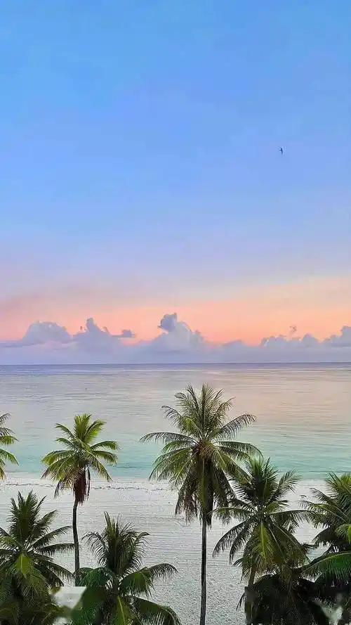 78风景壁纸可以治愈一切的不可爱~96希望你的可爱今日份「ins壁纸