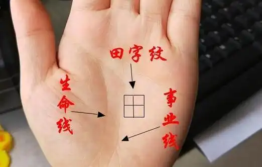 这样的事业线指的就是长而清晰的事业线,若一个女人的手相事业线非常