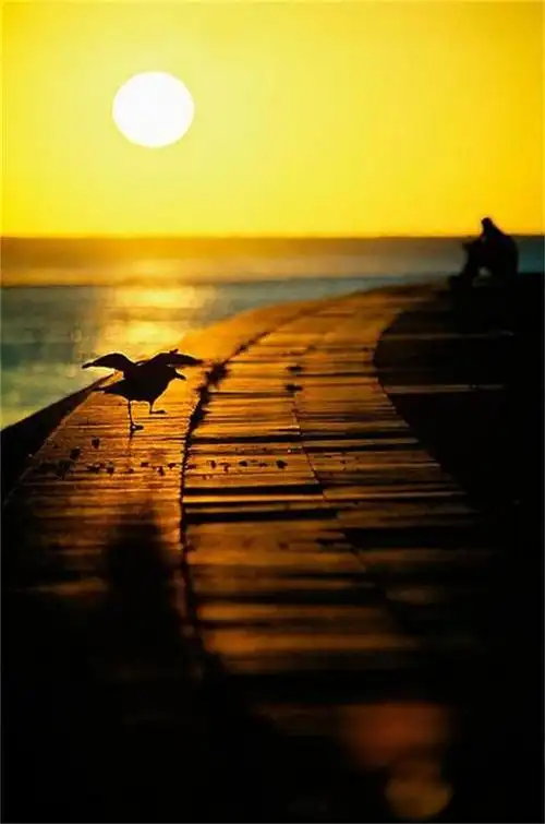 最是夕阳美,黄昏又何妨