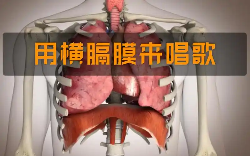 半吊子声乐教学用横膈膜来唱歌浅谈气息支持与控制豪华阵容精彩纷呈