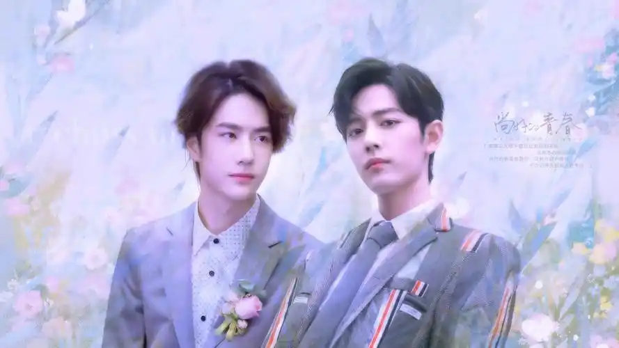 博君一肖.肖战.王一博