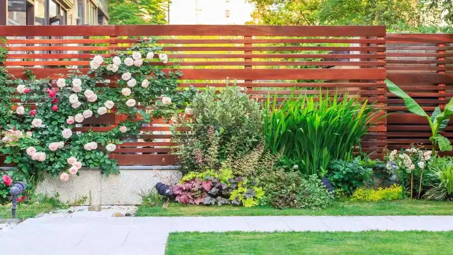 小院养成记—"低维护"花园