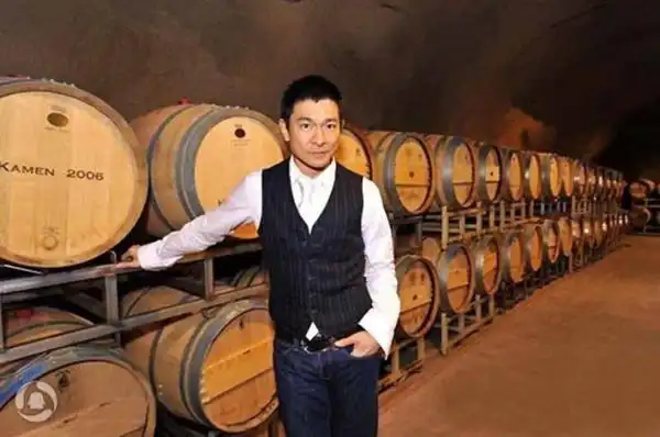 刘德华天王教你怎样喝葡萄酒!