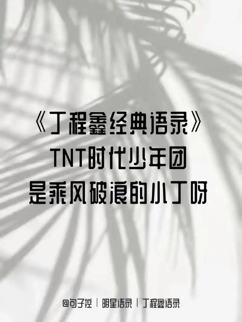 丁程鑫经典语录 | 温暖且真挚的独白合集 [期待]今天控控为大家整理了