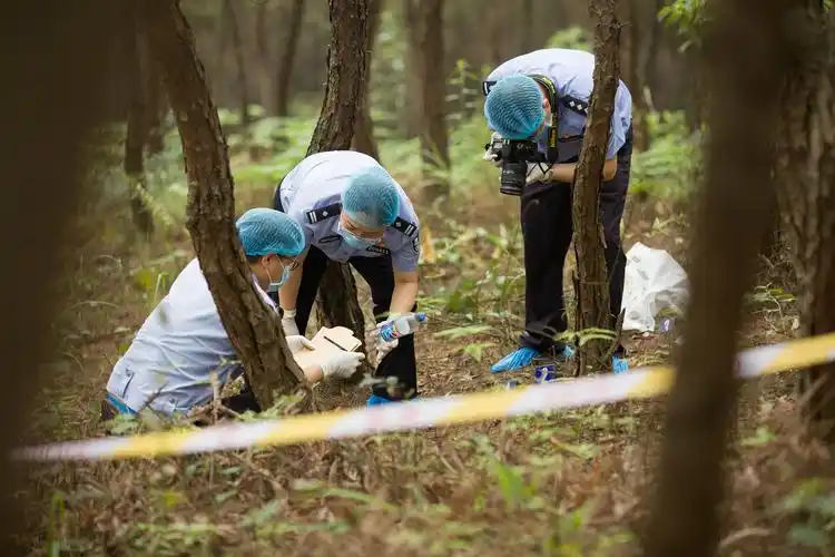 为死者言为生者权女法医杨发英破译死亡密码15载无一错漏